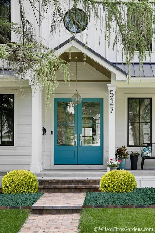 Golden Triumph Variegated Dwarf Boxwood - 6 Pack Of 1 Gallon Pots - Image 5